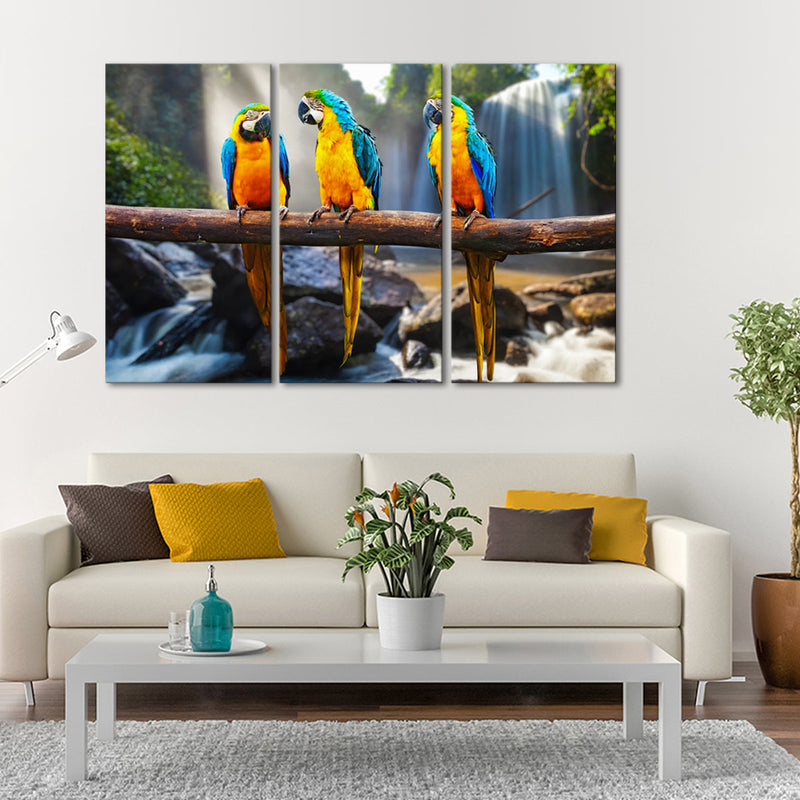 Macaw Friends Wall Art