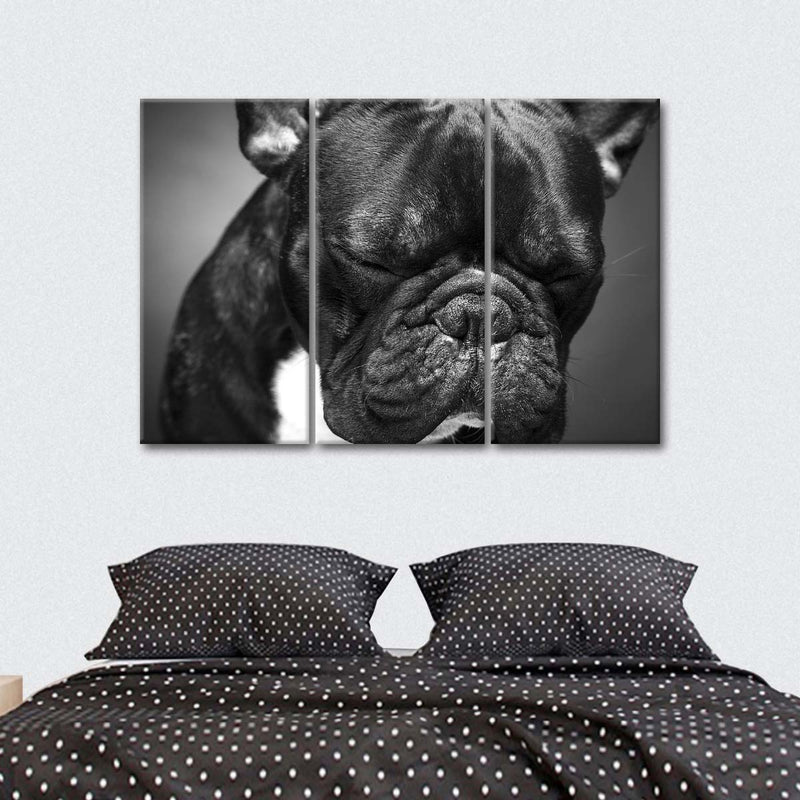 Melancholic French Bulldog Wall Art