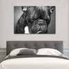 Melancholic French Bulldog Wall Art