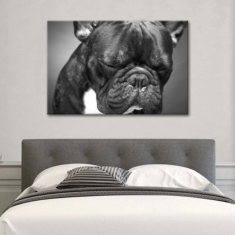 Melancholic French Bulldog Wall Art