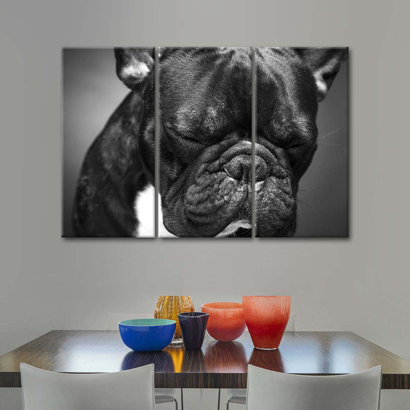 Melancholic French Bulldog Wall Art