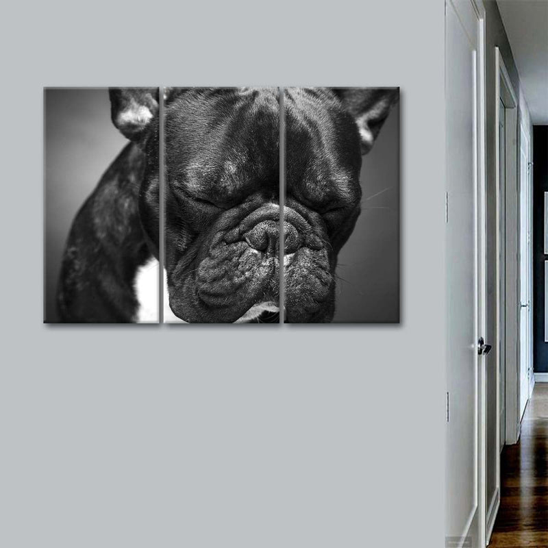 Melancholic French Bulldog Wall Art
