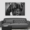 Melancholic French Bulldog Wall Art