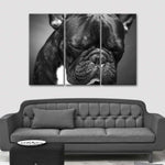 Melancholic French Bulldog Wall Art