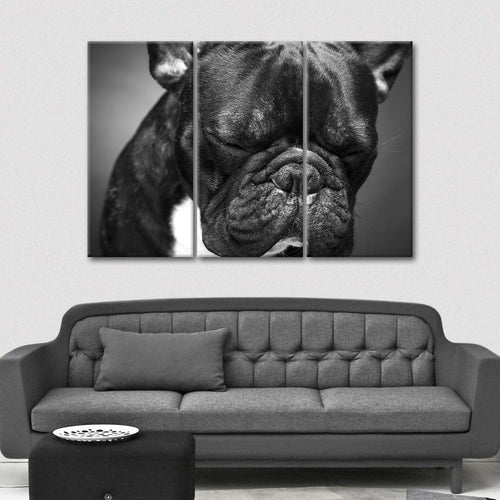 Melancholic French Bulldog Wall Art