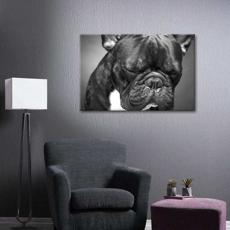 Melancholic French Bulldog Wall Art