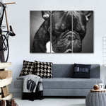 Melancholic French Bulldog Wall Art