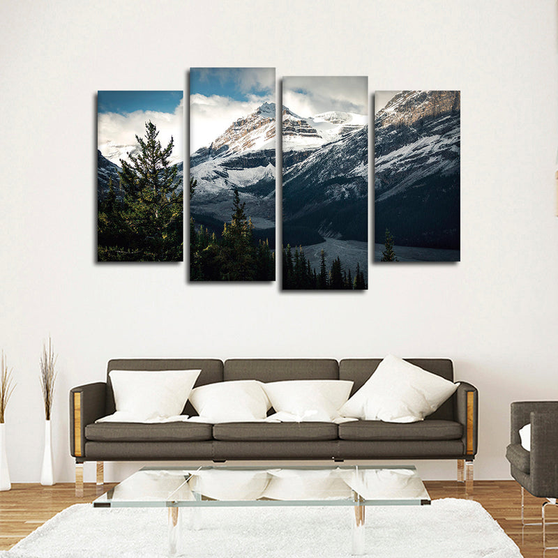 Mountain Top Wall Art