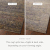 Jean Stoffer x Loloi Bradbury Ink / Multi Rug