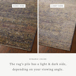 Jean Stoffer x Loloi Bradbury Ink / Multi Rug