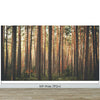 Forest Wallpaper Mural. Woodland Country Theme / Farmhouse Wall Decor. #6777