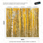 Autumn Scenic Birch Tree Forest Wall Mural | Peel and Stick Wallpaper. #6202