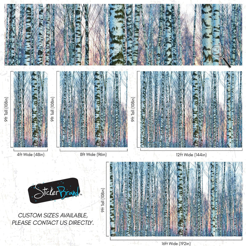 White Birch Tree Forest Wall Mural Wallpaper. Sunset Scenery. #6246
