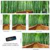 Japanese Bamboo Forest Arashiyama Woods Wall Mural #6043