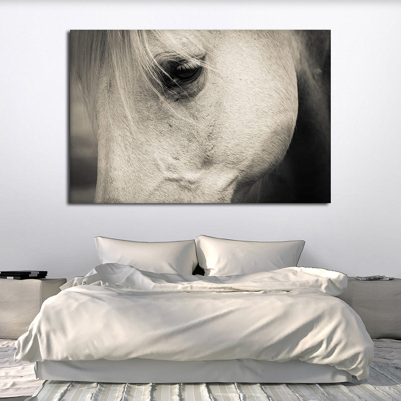 White Horse Eye Wall Art