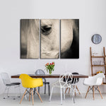 White Horse Eye Wall Art