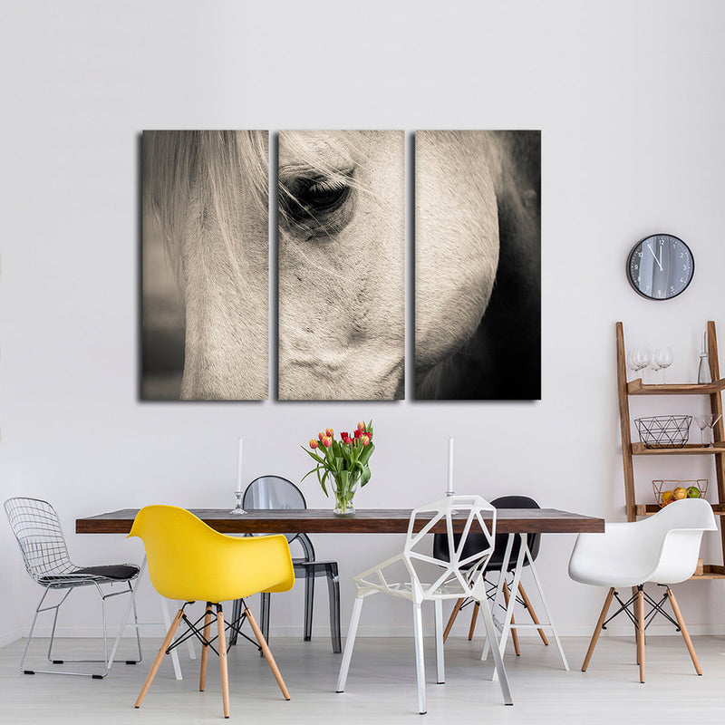 White Horse Eye Wall Art