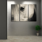 White Horse Eye Wall Art