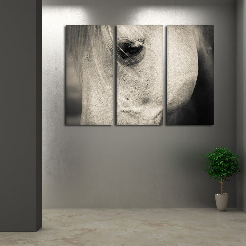 White Horse Eye Wall Art