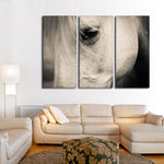 White Horse Eye Wall Art