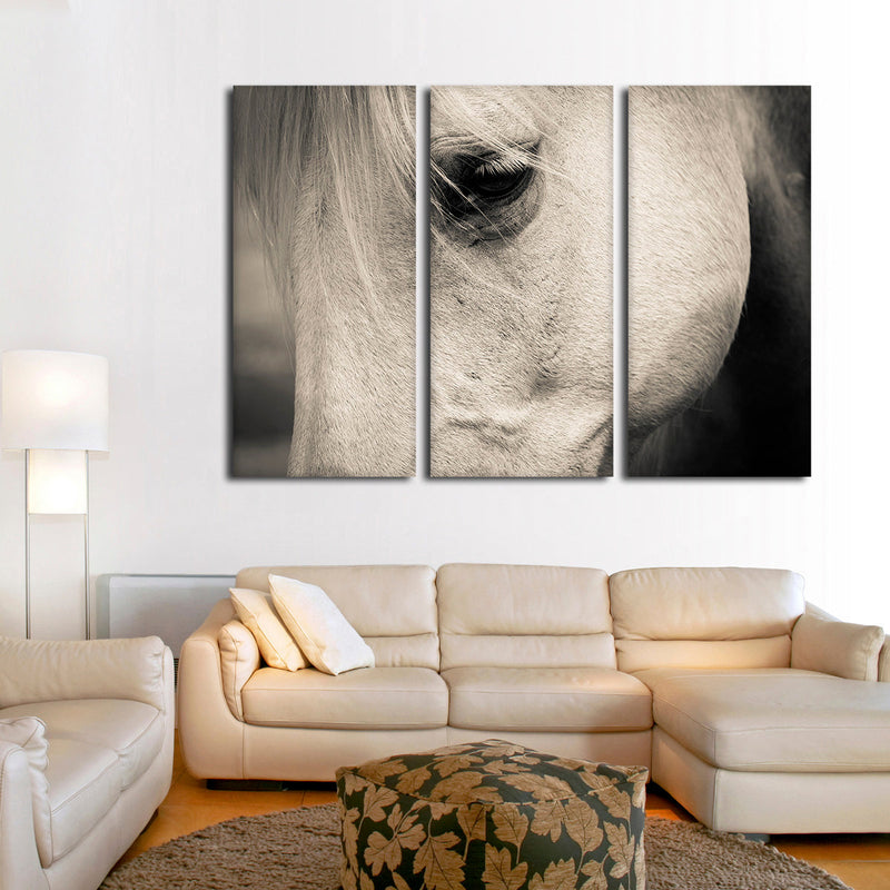 White Horse Eye Wall Art
