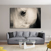 White Horse Eye Wall Art
