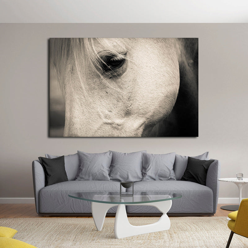 White Horse Eye Wall Art
