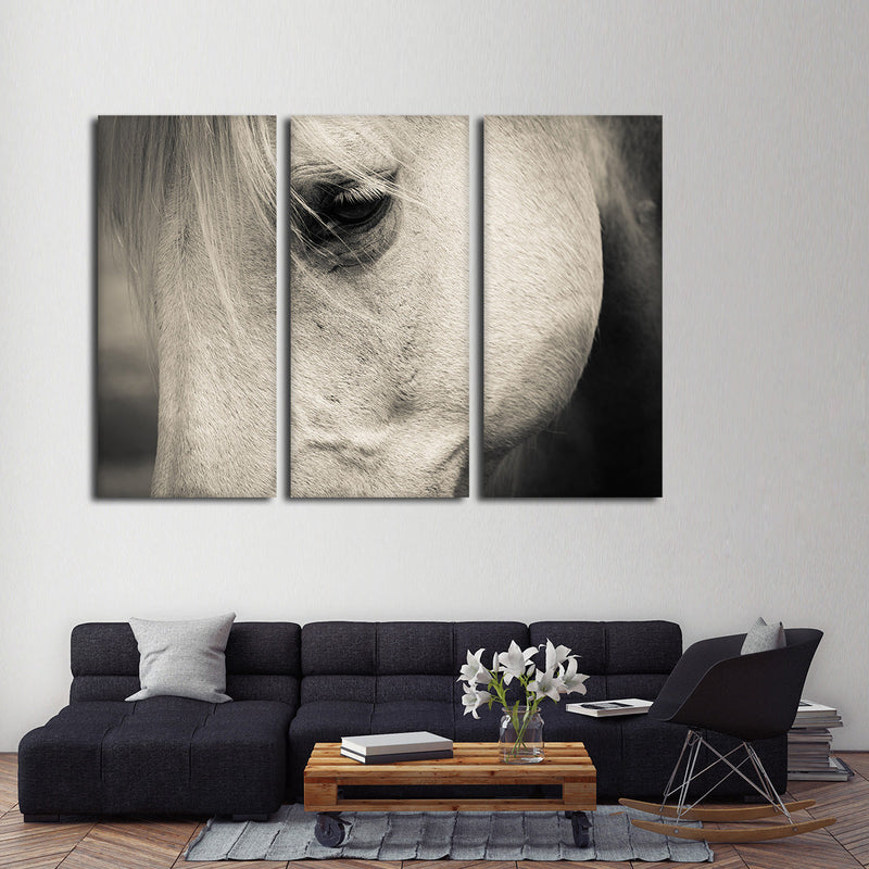 White Horse Eye Wall Art