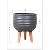Belitsa Decorative Accent