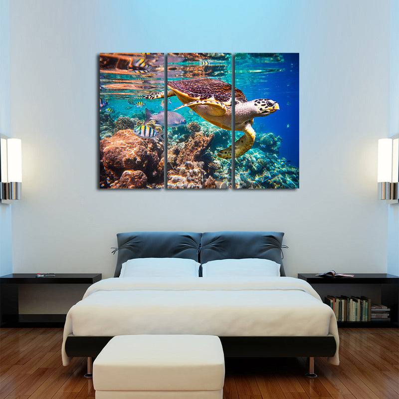 Vivid Sea Life Wall Art