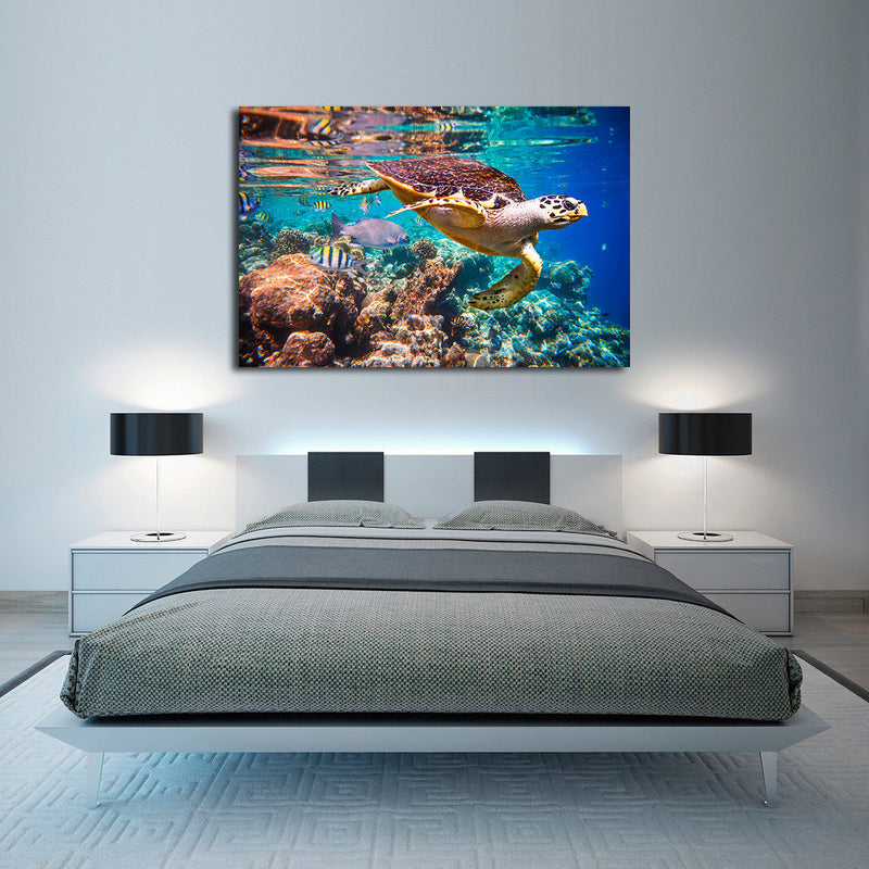 Vivid Sea Life Wall Art