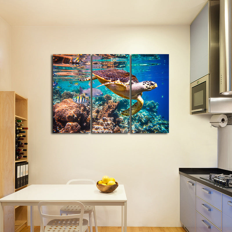 Vivid Sea Life Wall Art