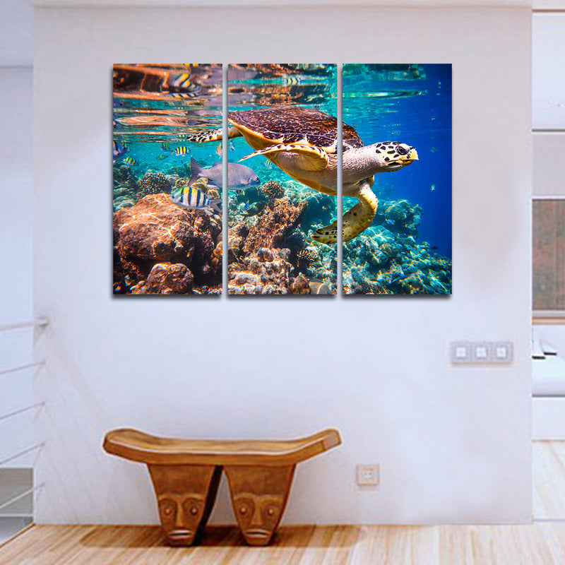 Vivid Sea Life Wall Art