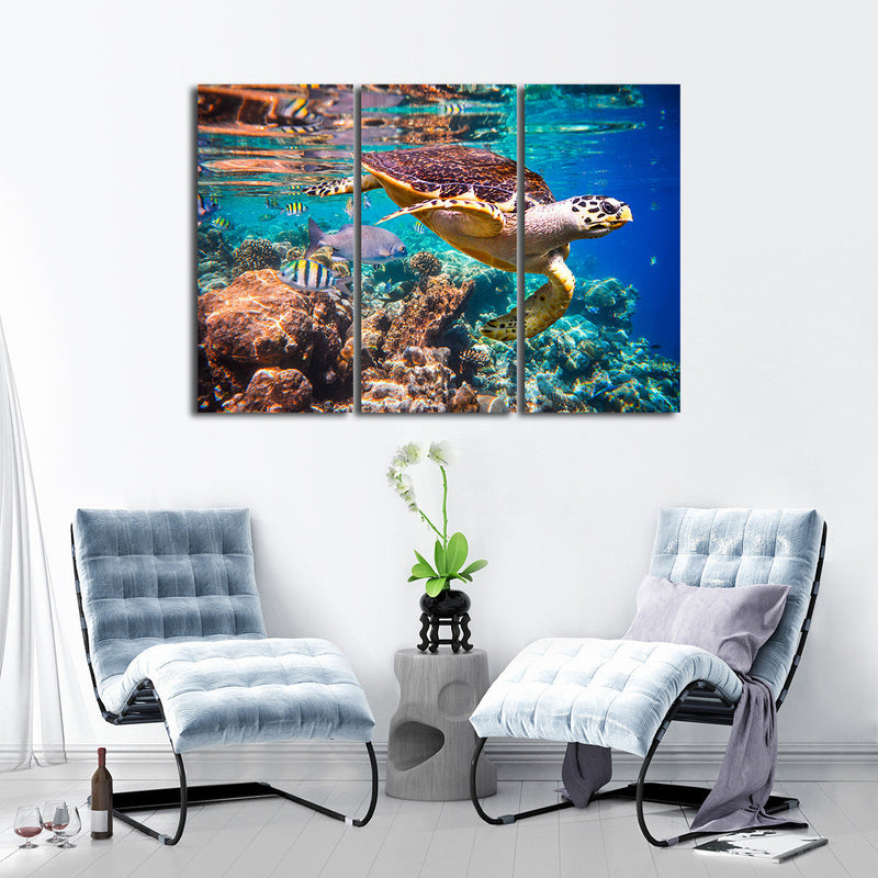 Vivid Sea Life Wall Art