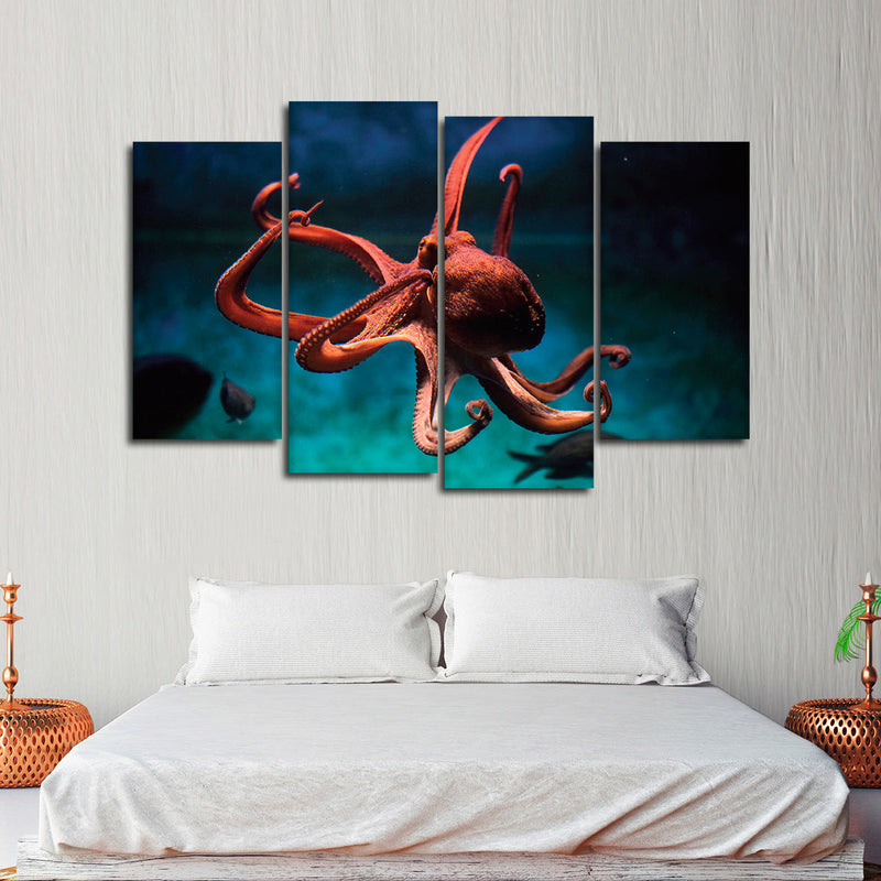 Octopus Vulgaris Wall Art