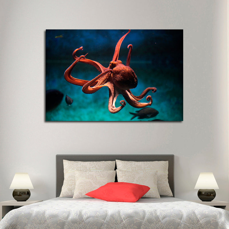 Octopus Vulgaris Wall Art