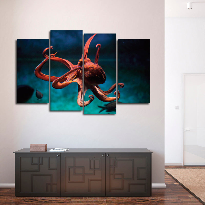 Octopus Vulgaris Wall Art