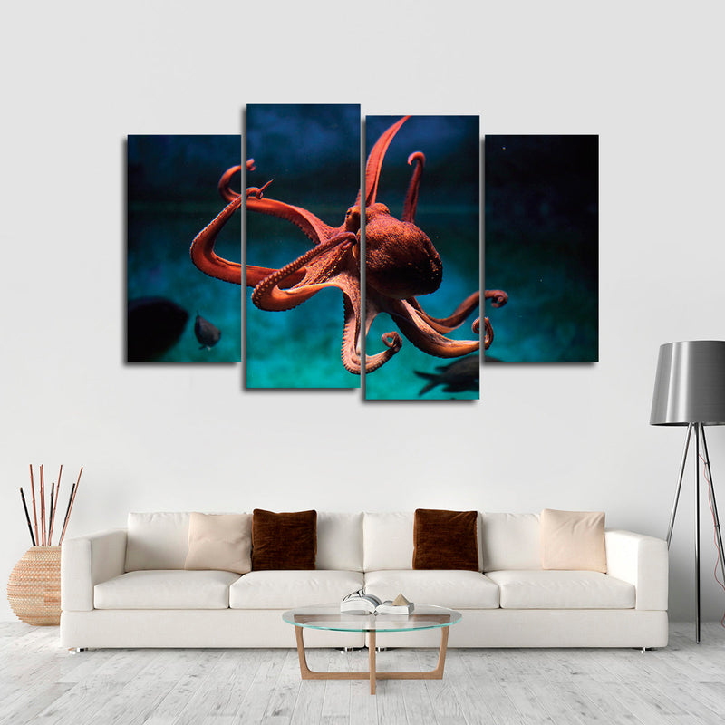 Octopus Vulgaris Wall Art