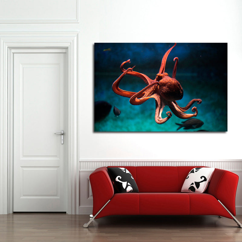 Octopus Vulgaris Wall Art