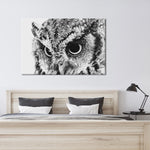 Staring Owl Wall Art