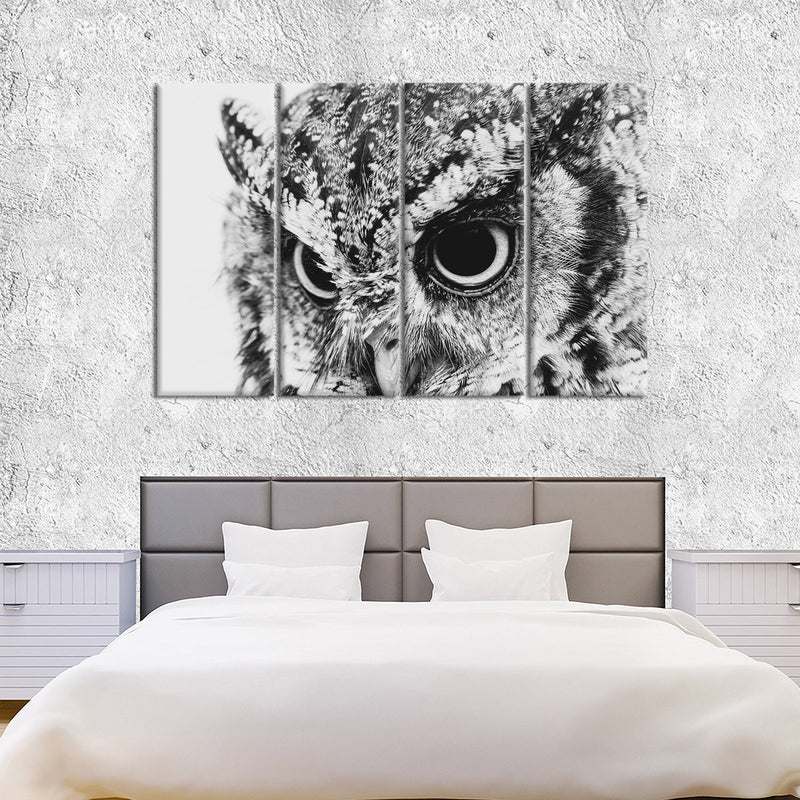 Staring Owl Wall Art