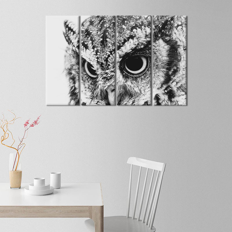 Staring Owl Wall Art