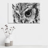 Staring Owl Wall Art