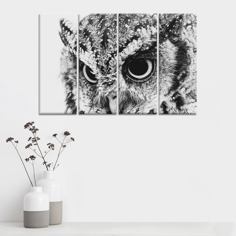 Staring Owl Wall Art