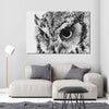 Staring Owl Wall Art