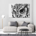 Staring Owl Wall Art