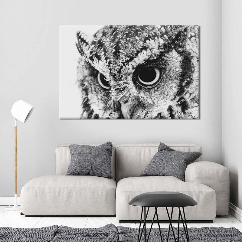 Staring Owl Wall Art