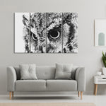Staring Owl Wall Art