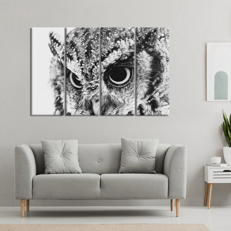 Staring Owl Wall Art