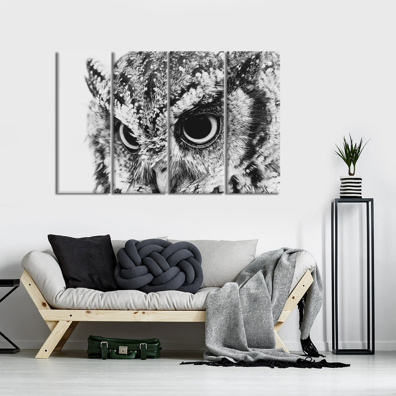 Staring Owl Wall Art